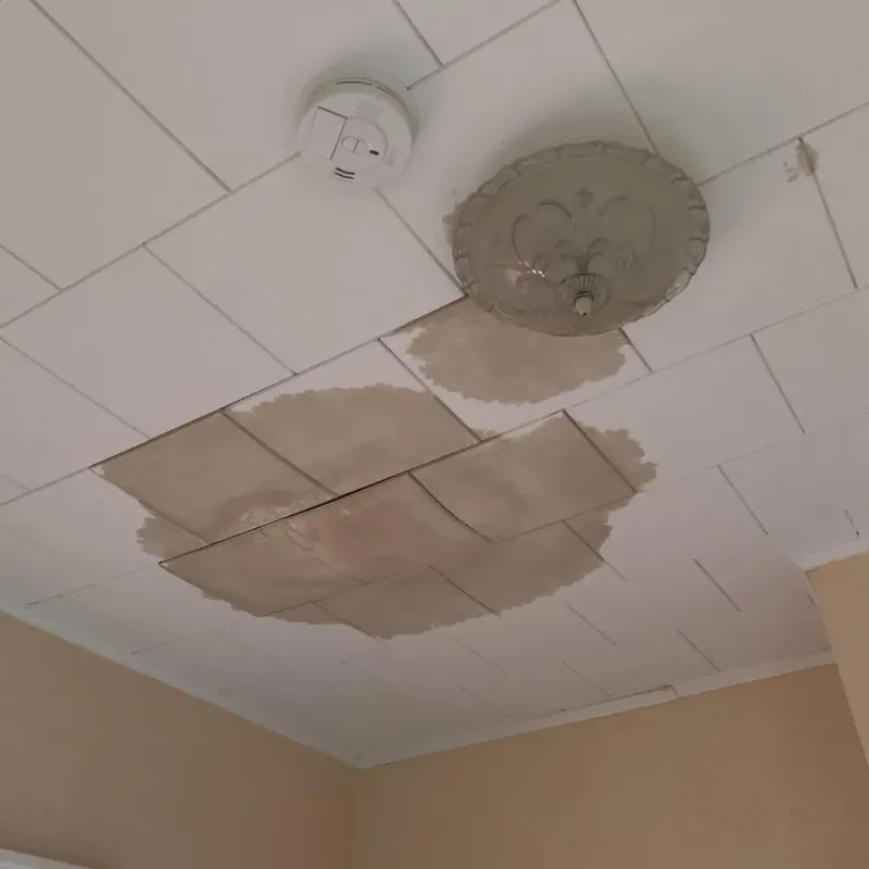 Ceiling Water Damage Repair in Richardson County, NE