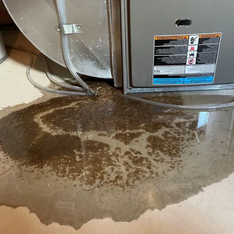 Pipe Burst and Leak Restoration in Richardson County, NE