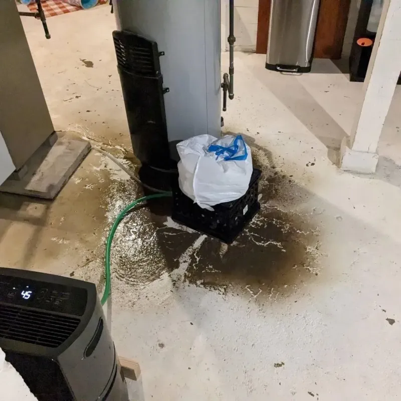 Sewage Backup Cleanup Service in Richardson County, NE